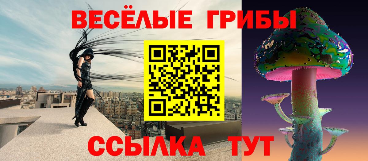 Галлюциногенные грибы Psilocybine cubensis  Вход с VPN  Псилоцибиновые грибы GOLDEN TEACHER  Ульяновск 
